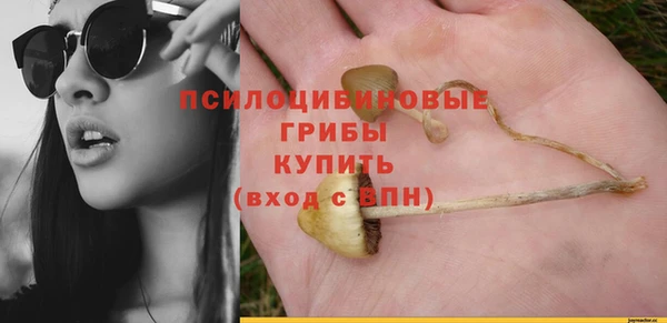 индика Остров