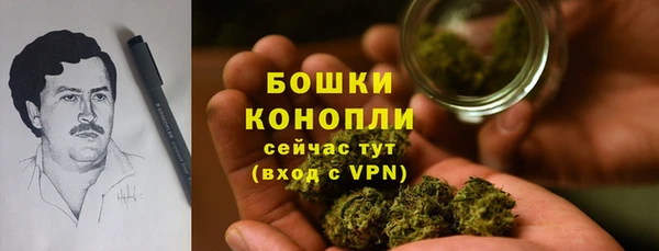 дмт Осташков