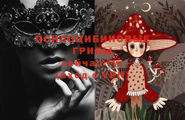 дмт Осташков