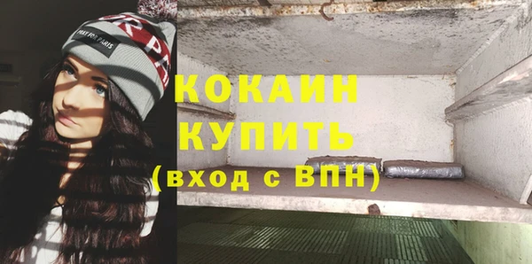 дмт Осташков