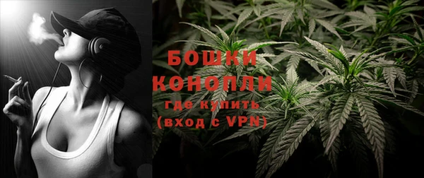 дмт Осташков
