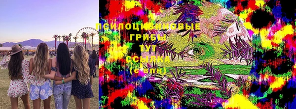 дмт Осташков