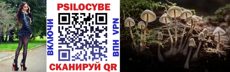 Псилоцибиновые грибы мицелий  Шиханы 